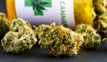 Por que até remédio de maconha é proibido?
