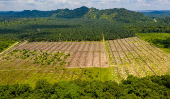 A importância da inovação para a retomada verde 