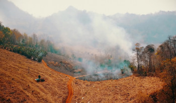 Ação climática não é papo futurista 