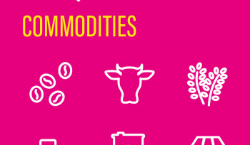 Commodities | Infográfico