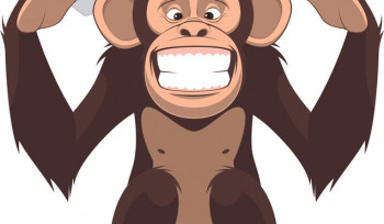 Investidores amadores vão pior do que macacos?