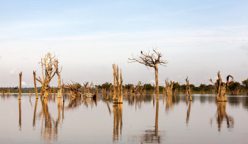 Por que precisamos de letramento climático?