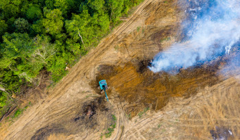 Qual o papel do Brasil na crise climática?