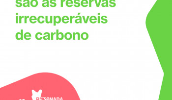 Entenda o que são as reservas irrecuperáveis de carbono | Retomada Verde 